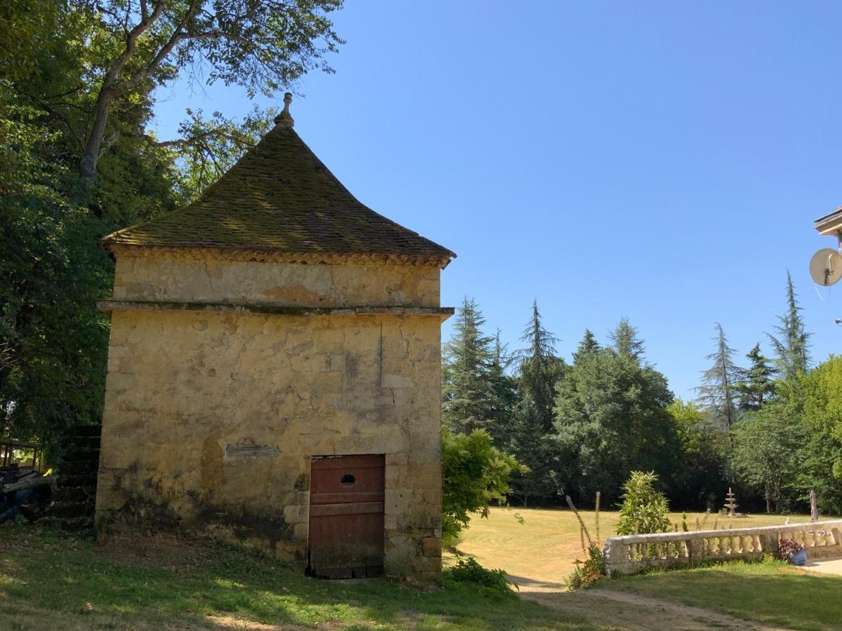 Chateau D'Argentonesse Castels Eksteriør billede